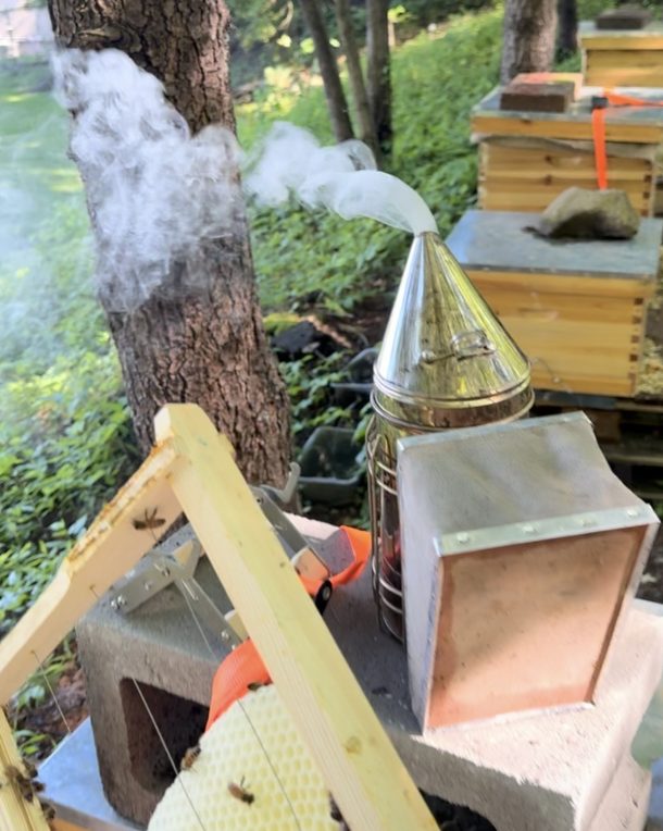 A lit bee smoker and a new frame of wax foundation